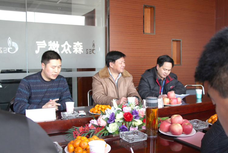 林口县政府与云顶集团·(中国)唯一官方网站燃气项目洽谈.png